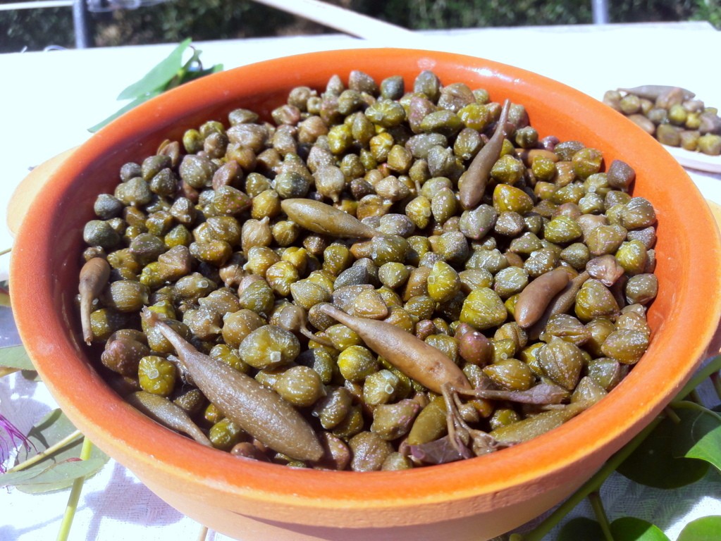 CAPPERI SOTTO SALE - immagine 2