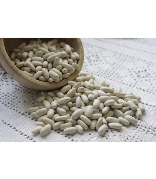 FAGIOLI CANNELLINI
