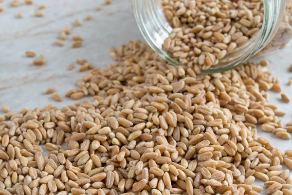 FARRO PERLATO - immagine 3