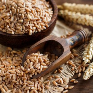 FARRO PERLATO