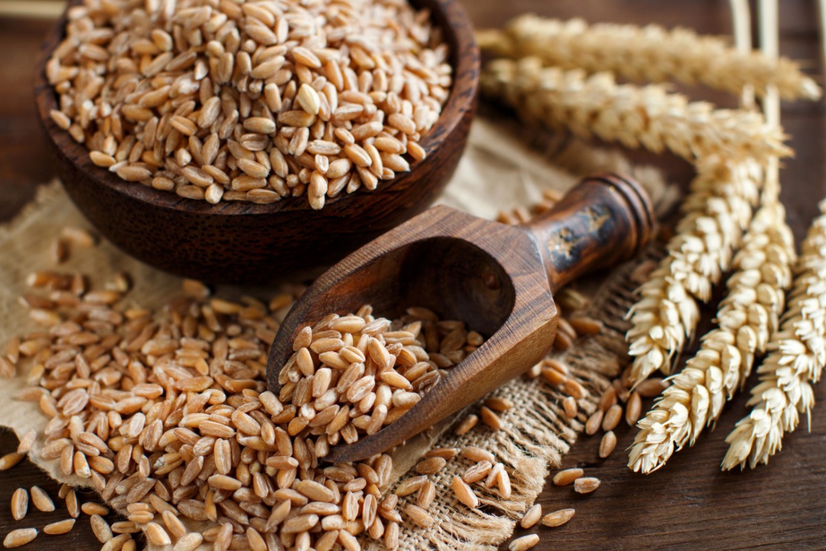FARRO PERLATO