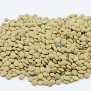 LENTICCHIA MIGNON