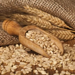 ORZO PERLATO