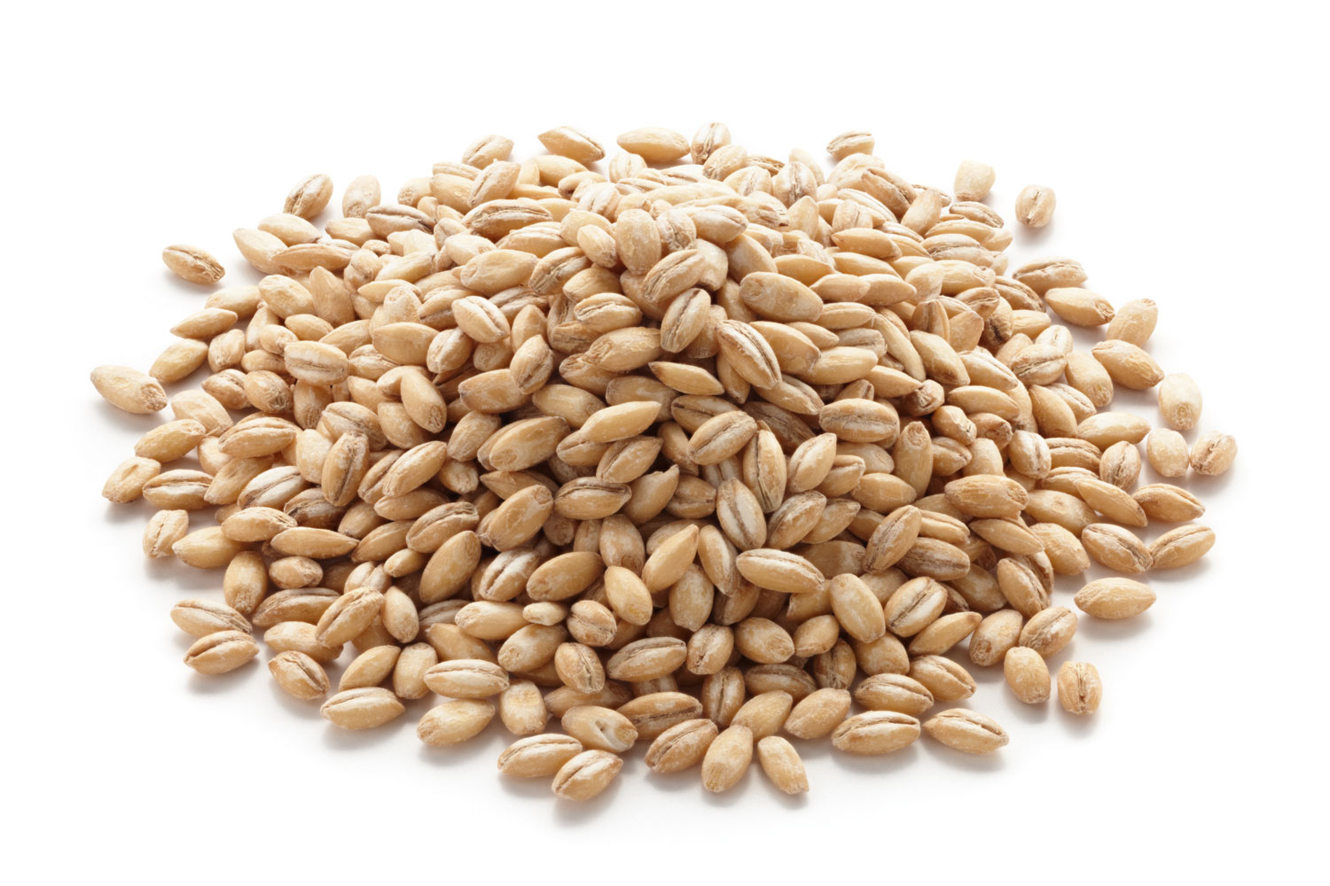 ORZO PERLATO - immagine 3