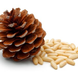 PINOLI