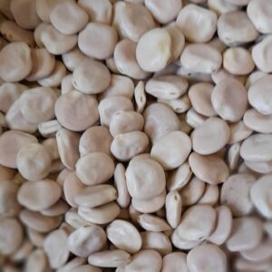 LUPINI SECCHI