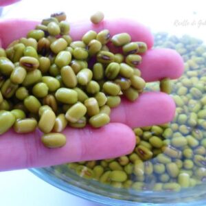 FAGIOLI AZUCHI VERDI