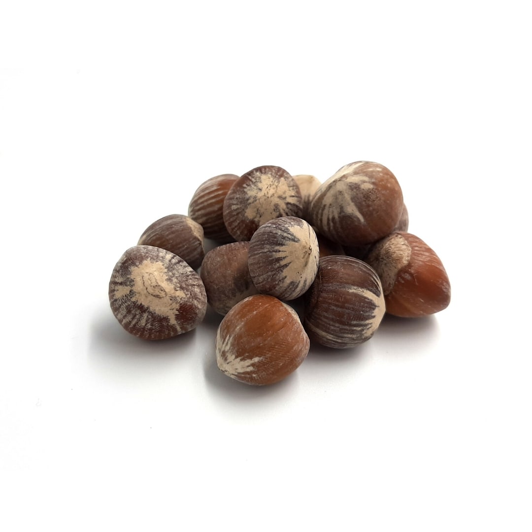 NOCCIOLE INTERE TOSTATE